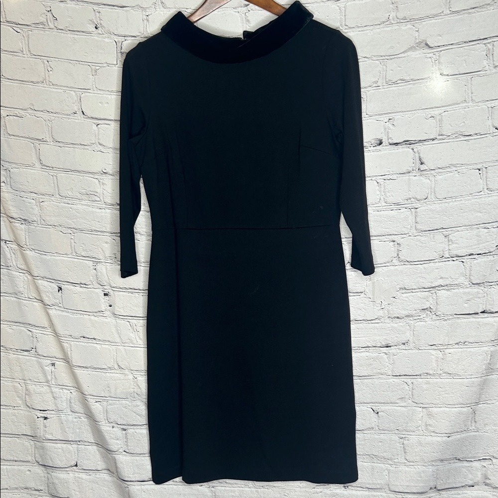 Talbots Black Long-Sleeve Shift Dress W/Velvet Neck Size 8 Excellent Condition